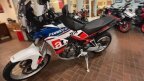 Thumbnail Photo 3 for New 2025 Aprilia Tuareg 660