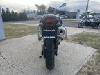 Thumbnail Photo 6 for New 2025 BMW F900GS