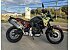 New 2025 BMW F900GS