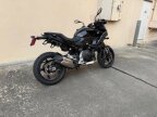 Thumbnail Photo 2 for New 2025 BMW F900XR
