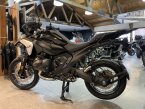 Thumbnail Photo 4 for New 2025 BMW R1300GS