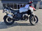 Thumbnail Photo 2 for New 2025 BMW R1300GS