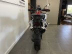 Thumbnail Photo 6 for 2025 BMW R1300GS