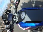Thumbnail Photo 6 for New 2025 BMW R1300GS