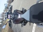 Thumbnail Photo 5 for New 2025 BMW R1300GS
