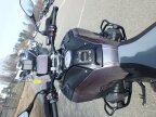 Thumbnail Photo 6 for New 2025 BMW R1300GS