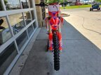 Thumbnail Photo 2 for 2025 Beta 450 RX