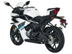 Thumbnail Photo 6 for New 2025 CFMoto 300SS