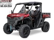 New 2025 CFMoto UForce 1000 Pro
