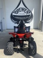 Thumbnail Photo 4 for New 2025 Can-Am DS 250