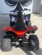 Thumbnail Photo 3 for New 2025 Can-Am DS 250