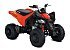 New 2025 Can-Am DS 250