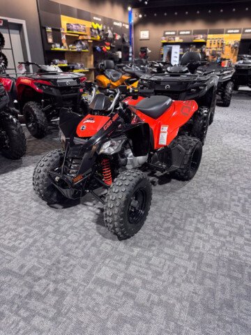 New 2025 Can-Am DS 250
