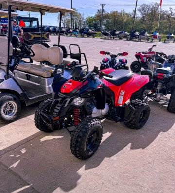 New 2025 Can-Am DS 250