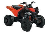 New 2025 Can-Am DS 250