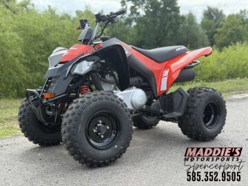 New 2025 Can-Am DS 250