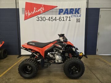 New 2025 Can-Am DS 250