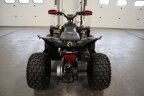 Thumbnail Photo 5 for New 2025 Can-Am Renegade 110