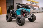 Thumbnail Photo 6 for New 2025 Can-Am Renegade 110