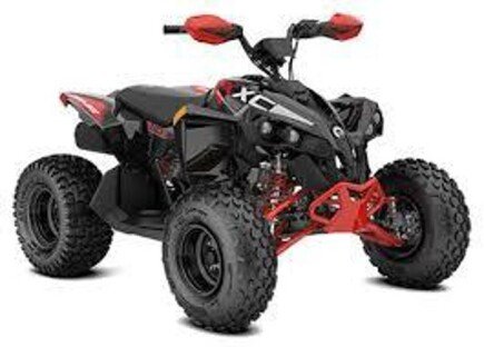Photo 1 for New 2025 Can-Am Renegade 110 X xc
