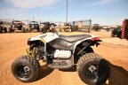 Thumbnail Photo 5 for New 2025 Can-Am Renegade 110