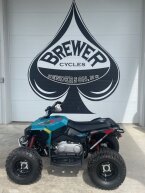 Thumbnail Photo 1 for New 2025 Can-Am Renegade 110