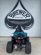 Thumbnail Photo 4 for New 2025 Can-Am Renegade 110