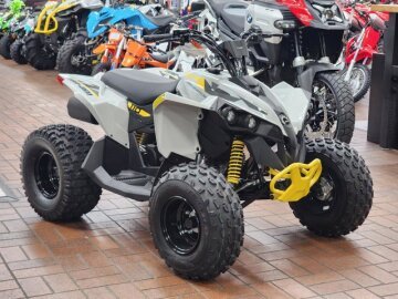New 2025 Can-Am Renegade 110