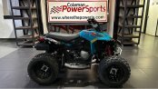 New 2025 Can-Am Renegade 110