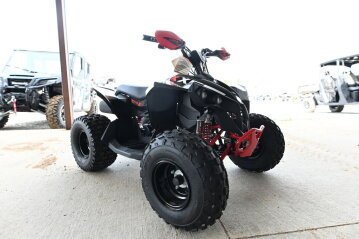 New 2025 Can-Am Renegade 110 X xc