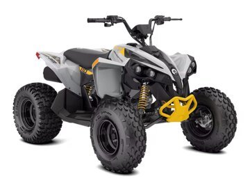 New 2025 Can-Am Renegade 110
