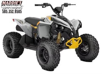 New 2025 Can-Am Renegade 110