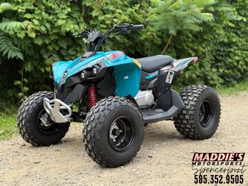 New 2025 Can-Am Renegade 110