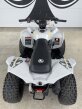 Thumbnail Photo 4 for New 2025 Can-Am Renegade 70