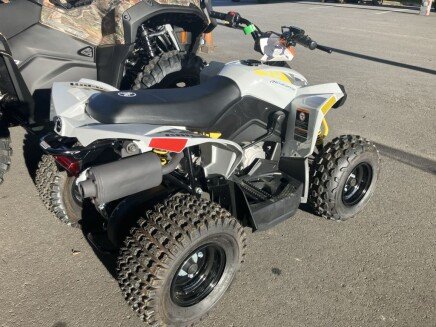 Photo 1 for New 2025 Can-Am Renegade 70