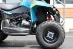 Thumbnail Photo 2 for New 2025 Can-Am Renegade 70