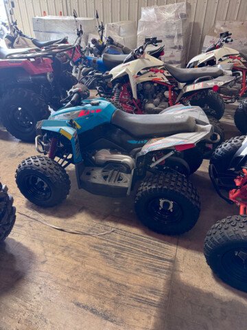 New 2025 Can-Am Renegade 70
