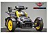 New 2025 Can-Am Ryker