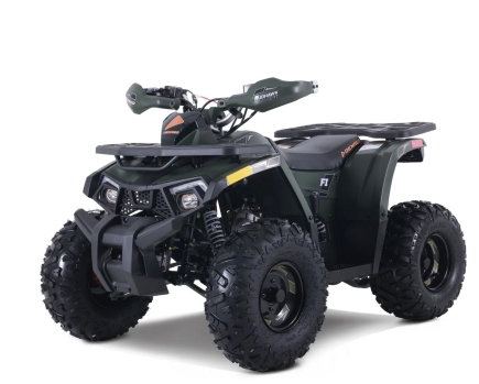 Photo 1 for New 2025 Denago Mudhawk 10