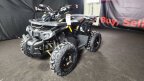 Thumbnail Photo 5 for 2025 Denago Mudhawk 10