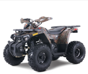 New 2025 Denago Mudhawk 10
