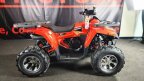 Thumbnail Photo 4 for New 2025 Denago Mudhawk 200