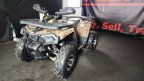 Thumbnail Photo 6 for New 2025 Denago Mudhawk 200