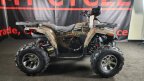 Thumbnail Photo 4 for New 2025 Denago Mudhawk 200