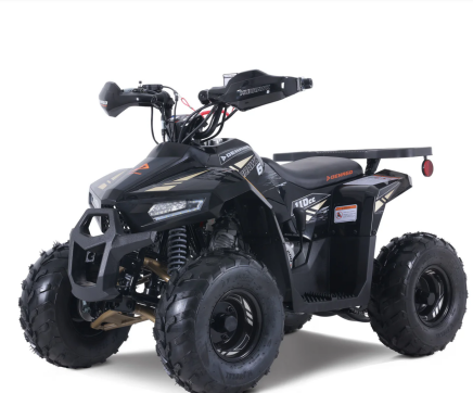 Photo 1 for New 2025 Denago Mudhawk 6