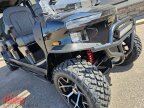 Thumbnail Photo 1 for 2025 Denago Rover