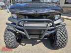 Thumbnail Photo 4 for 2025 Denago Rover