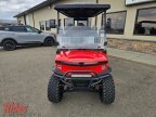 Thumbnail Photo 4 for 2025 Denago Rover XXL