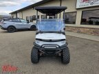 Thumbnail Photo 3 for 2025 Denago Rover XXL