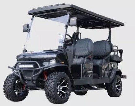 Photo 1 for 2025 Denago Rover